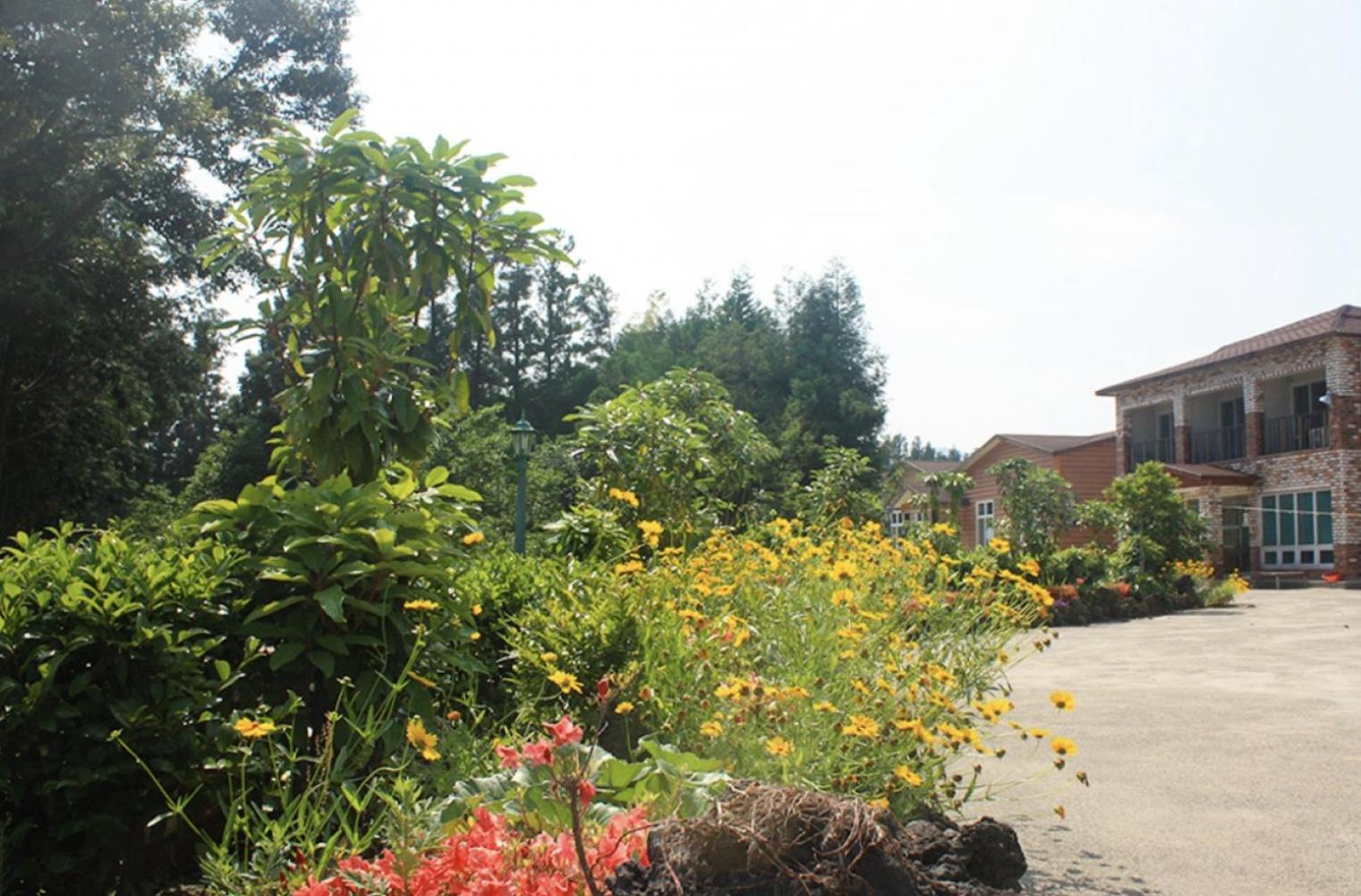 Jeju Ts Youth Hostel & Resort Seogwipo Exterior photo